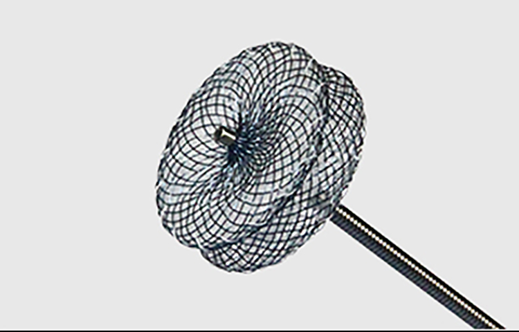 心脏间隔缺损凤凰联盟封堵产品介绍